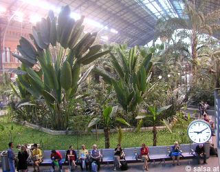 anklicken zum Vergr&ouml;�ern - click to enlarge