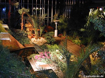 Salsa in J&uuml;lich